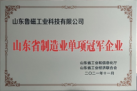 喜訊 ！我司榮獲山東省制造業(yè)單項(xiàng)冠軍企業(yè)?。?！