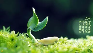 立春節(jié)氣一到，就是孟春開始了，所以年年有春天
