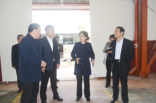 【頭條】臨清市市長祁學(xué)蘭、副市長王慶瑞等領(lǐng)導(dǎo)蒞臨魯磁科技督導(dǎo)項(xiàng)目情況